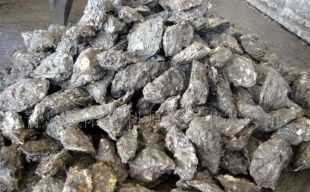 昆山市張浦鎮(zhèn)菊新水產(chǎn)冷凍批發(fā)部 專業(yè)水產(chǎn)品批發(fā)與供應鏈服務