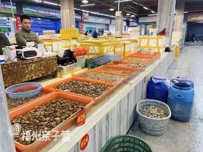 福州最全海鮮購買攻略 從水產品批發市場到家庭餐桌