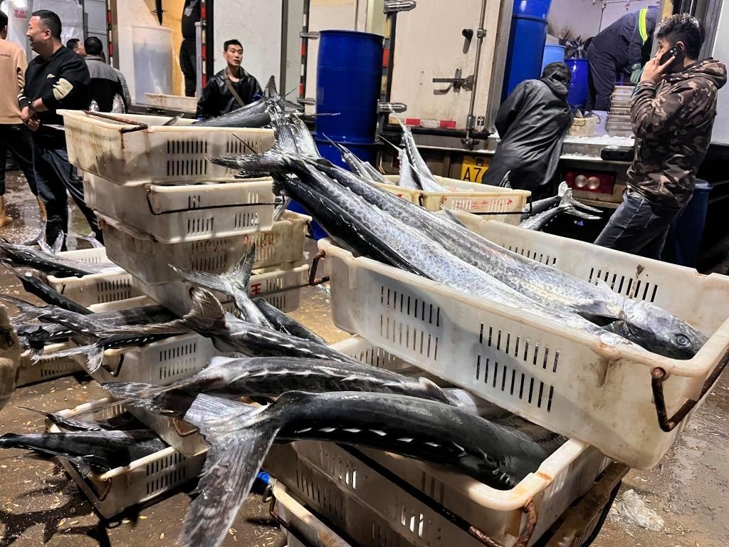 封海前最后一船海鮮抵達(dá)城陽(yáng)水產(chǎn)批發(fā)市場(chǎng)，鲅魚仍唱主角