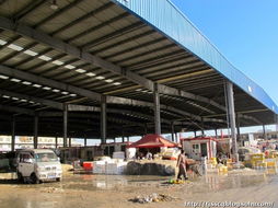 春節(jié)前的水產(chǎn)品農(nóng)貿(mào)批發(fā)市場(chǎng) 年味、忙碌與希望的匯聚地